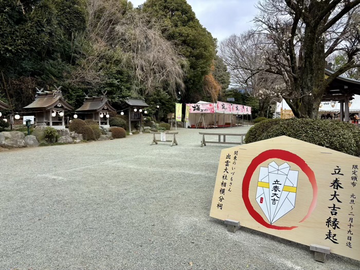 秦野　出雲大社相模分祠　梅まつり