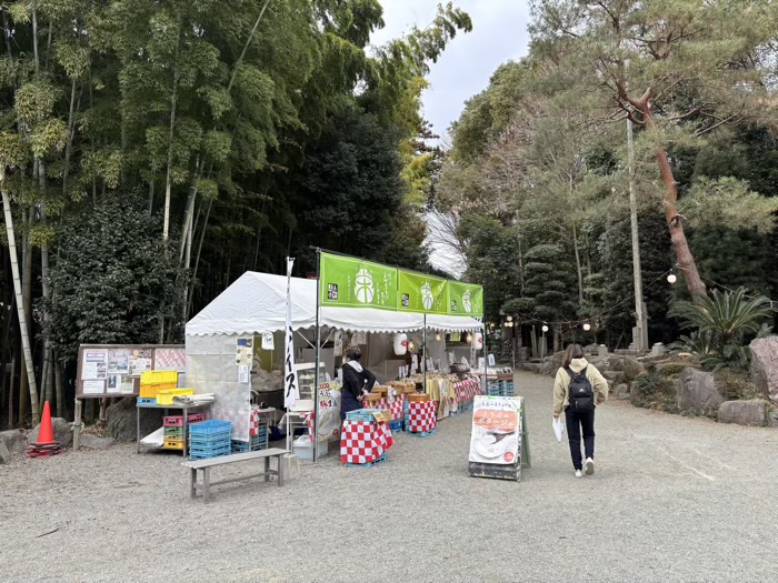 秦野　出雲大社相模分祠　梅まつり