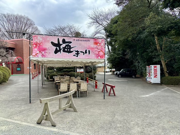 秦野　出雲大社相模分祠　梅まつり