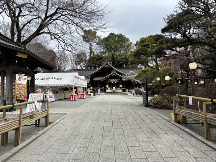 秦野　出雲大社相模分祠　梅まつり