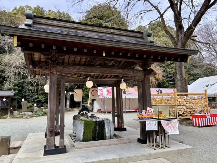 秦野　出雲大社相模分祠　梅まつり　花手水（手水舎）