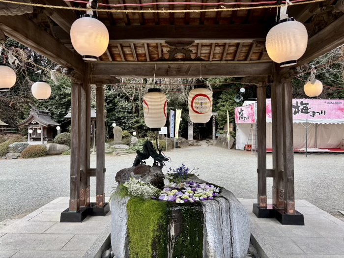 秦野　出雲大社相模分祠　梅まつり　花手水（手水舎）