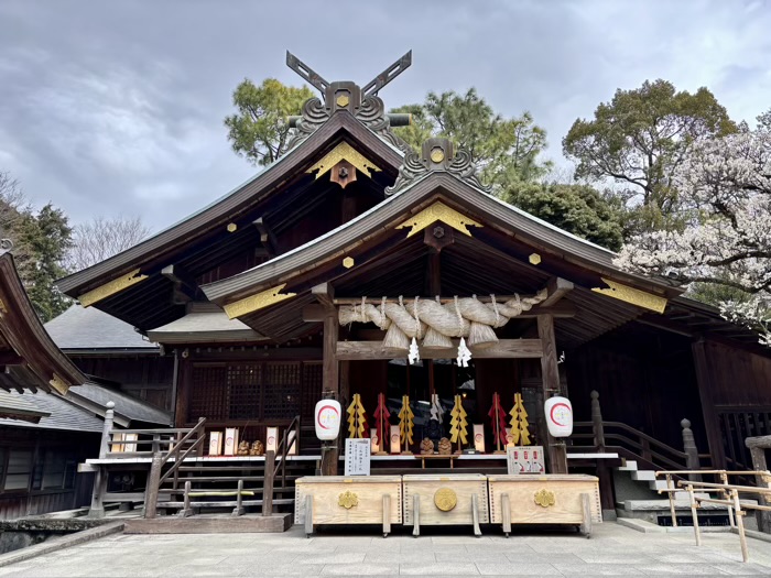 秦野　出雲大社相模分祠　梅まつり　拝殿