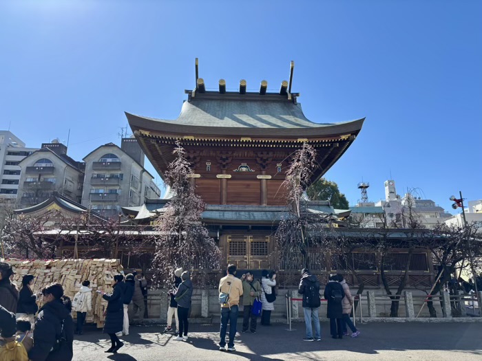 文京区　湯島天満宮　梅まつり