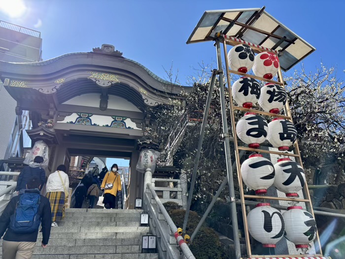 文京区　湯島天満宮　梅まつり