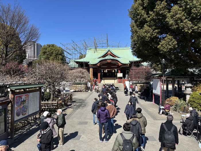 江東区　亀戸天神社　梅まつり