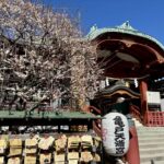 江東区　亀戸天神社　梅まつり