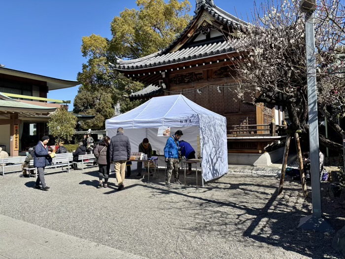 江東区　亀戸天神社　梅まつり