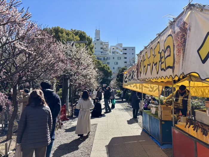 江東区　亀戸天神社　梅まつり