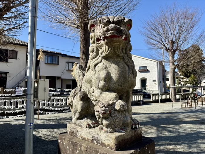 座間　栗原神社　狛犬