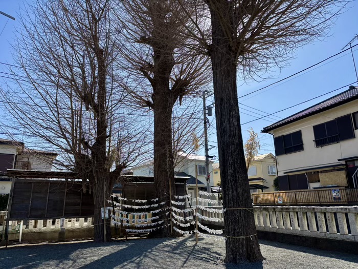 座間　栗原神社　境内