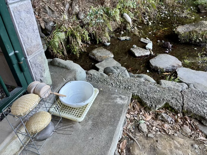 座間　水上山 龍源院　弁財天