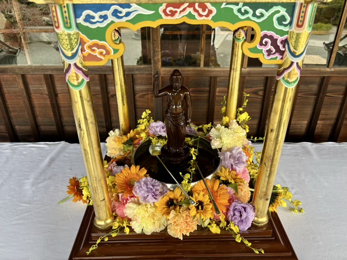 鎌倉　本覚寺　花まつり（降誕祭）