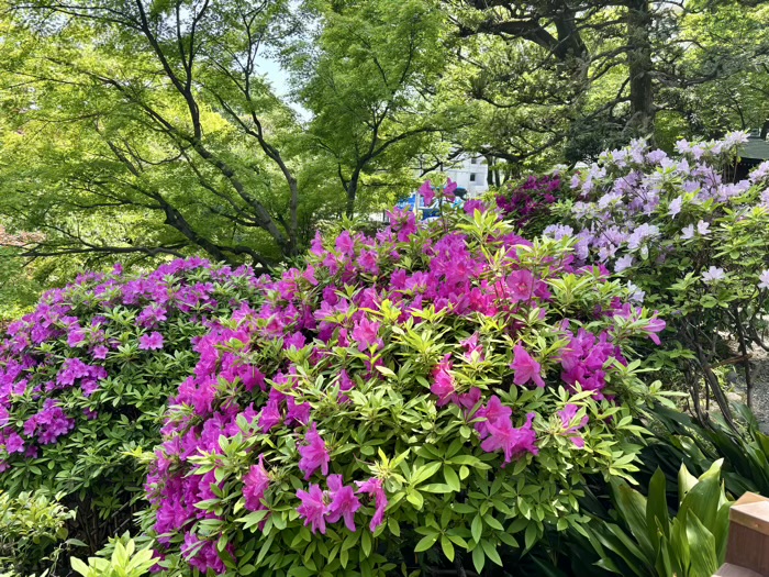 浅草　待乳山聖天 本龍院　庭園