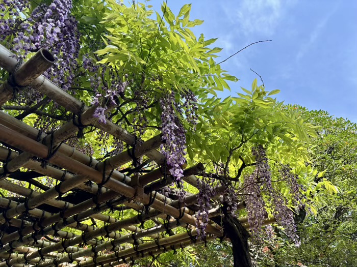 浅草 待乳山聖天 本龍院 庭園