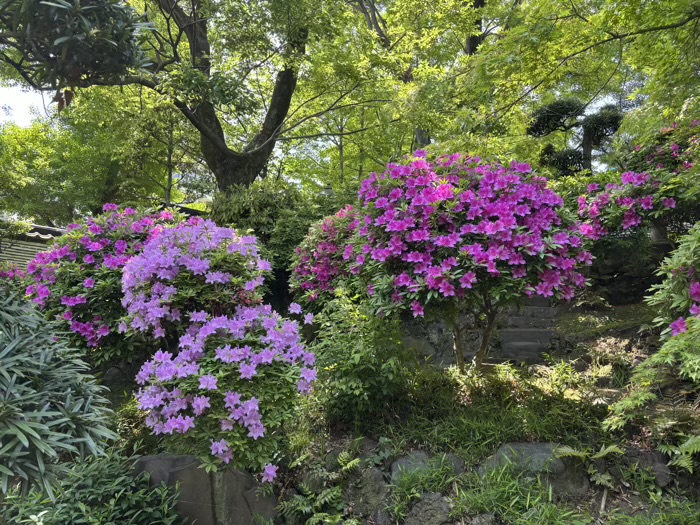 浅草　待乳山聖天 本龍院　庭園
