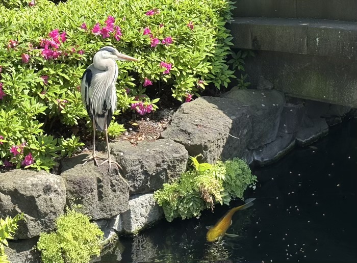 浅草寺