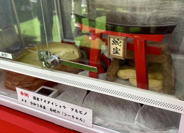 戸越公園　蛇窪神社　へびくぼ市　白蛇　しーちゃん