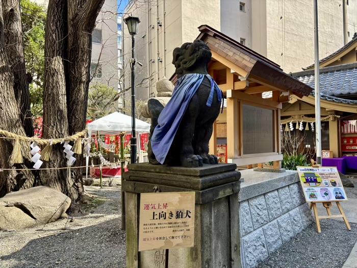 茅場町　日本橋日枝神社　運気上昇上向き狛犬