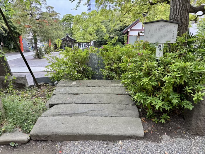 川崎　稲毛神社　小土呂橋遺構