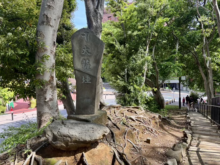 東京　もみじ谷