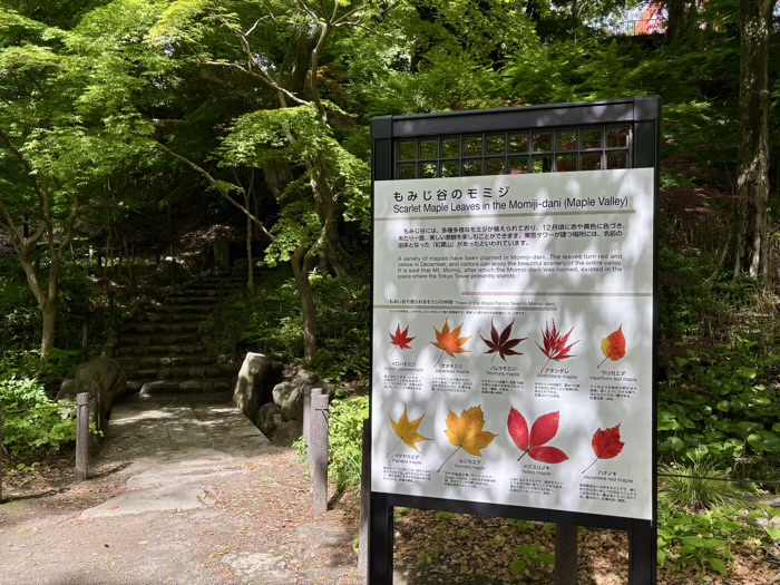 東京　もみじ谷