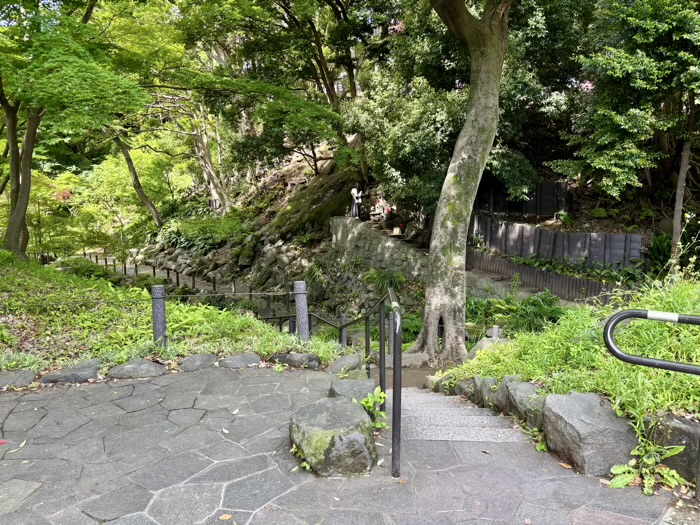 東京　もみじ谷
