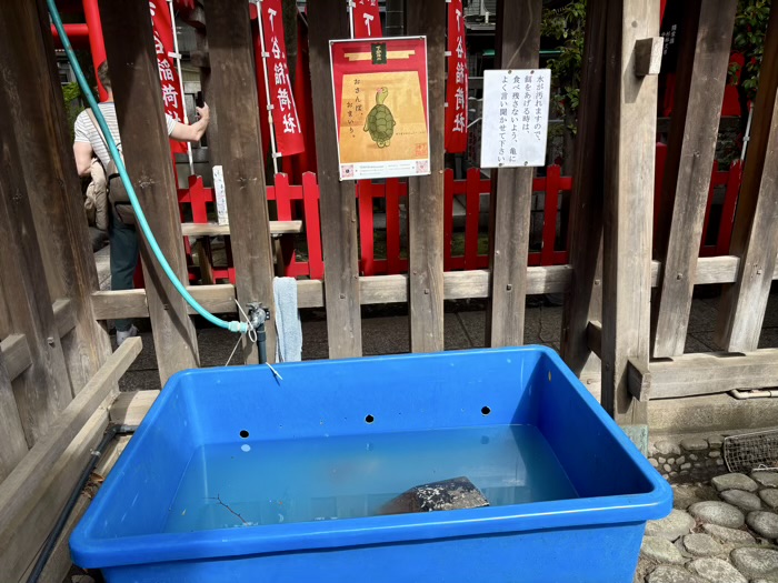 上野　稲荷町　下谷神社　亀のジェニー