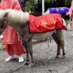 平塚八幡宮　健康祈願祭