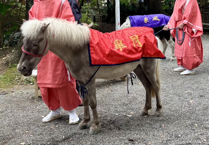平塚八幡宮　健康祈願祭