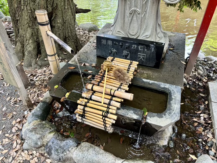 湘南 平塚八幡宮 弁財天社