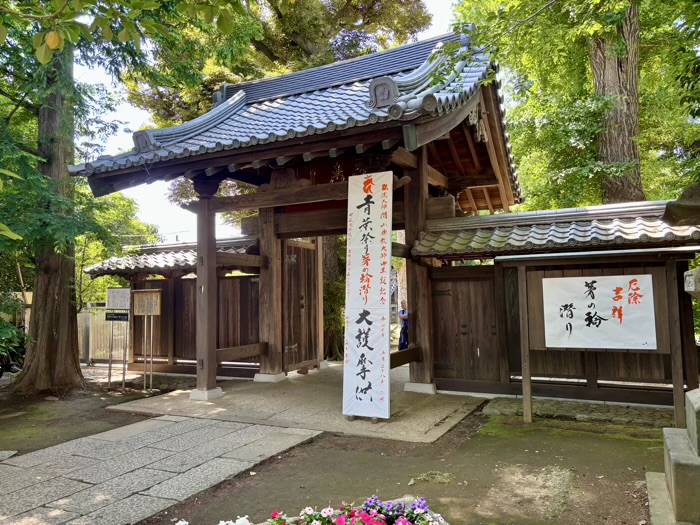 等々力不動尊　青葉まつり（五月大祭）