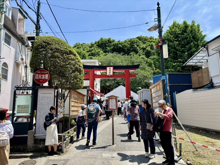 元町厳島神社　ブルガリアンローズフェスティバル元町