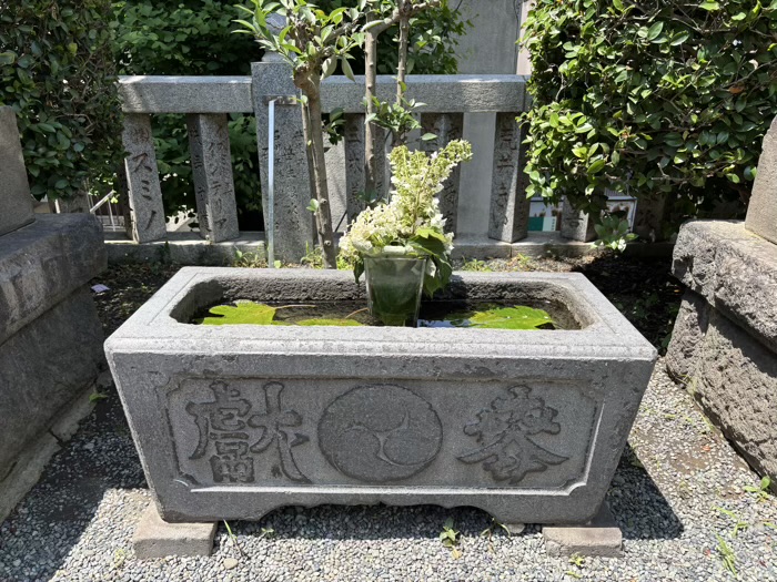 元町厳島神社　花手水　ブルガリアンローズフェスティバル元町