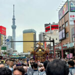 浅草神社　三社祭　町内神輿連合渡御