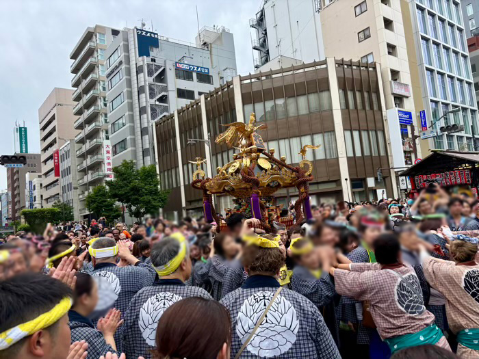 浅草神社　三社祭　町内神輿連合渡御