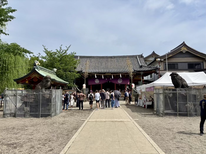 浅草神社　三社祭