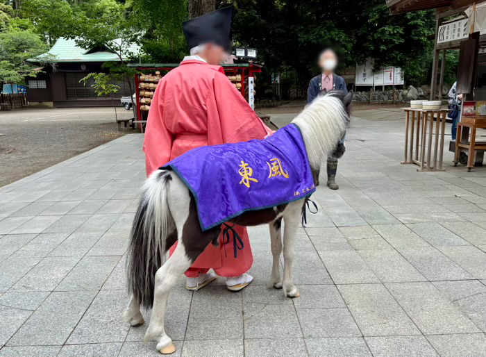 平塚八幡宮　健康祈願祭　皐月＆東風
