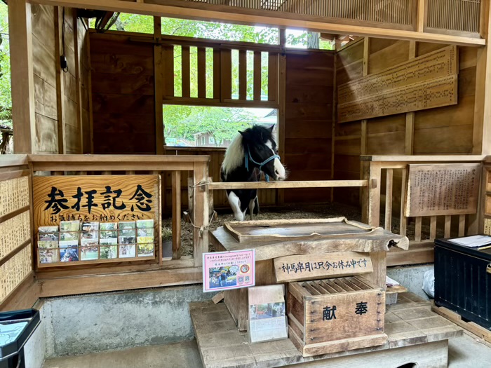 平塚八幡宮　東風