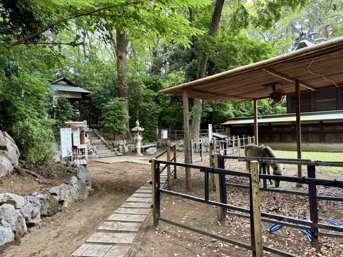 平塚八幡宮　皐月