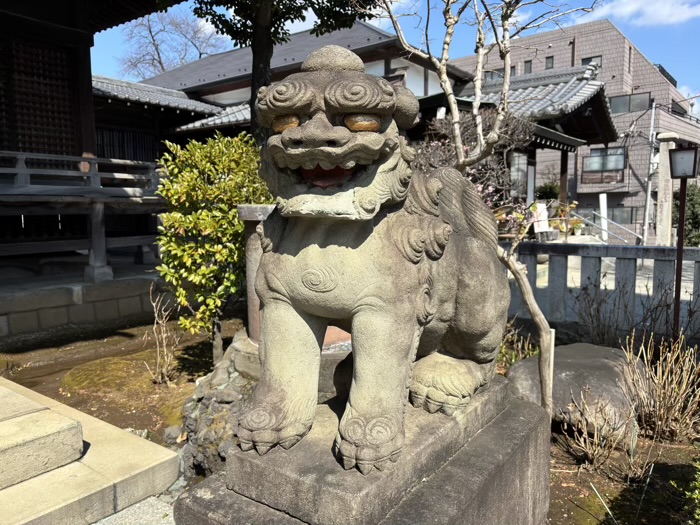 文京区　白山神社　狛犬