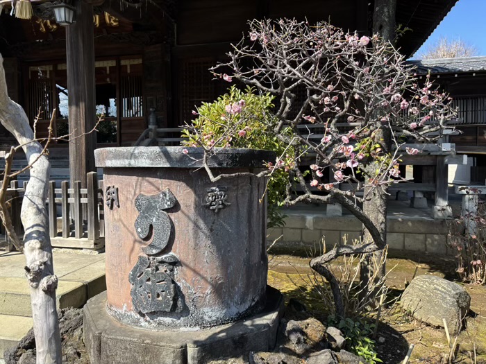 文京区　白山神社　社殿