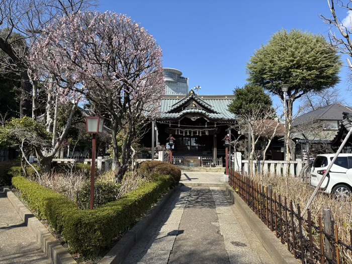 文京区　白山神社　参道