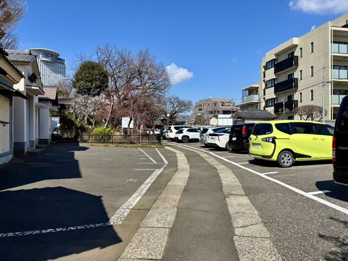 文京区　白山神社　参道