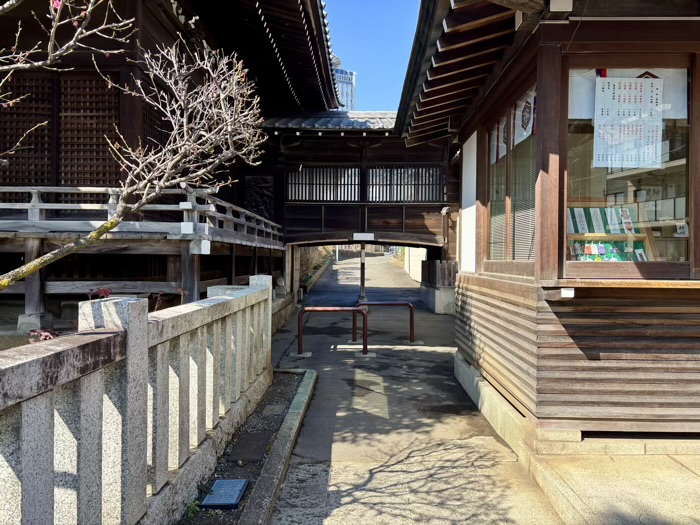 文京区　白山神社　浅間神社（富士塚）