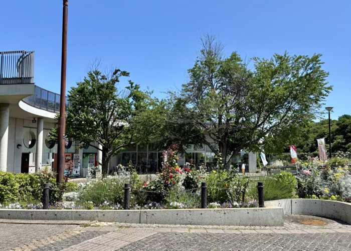 横浜　本牧神社　本牧山頂公園　見晴らしカフェ