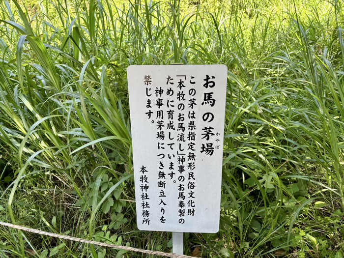 横浜　本牧神社　お馬の茅場