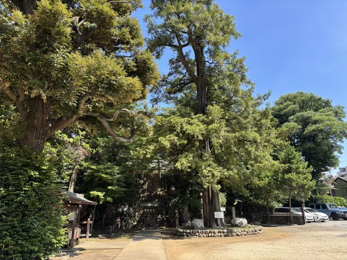 文京区　駒込富士神社