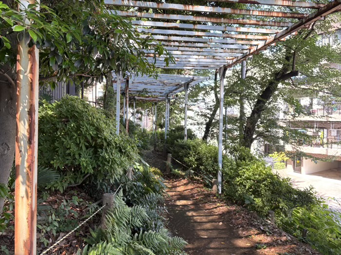 文京区　駒込富士神社