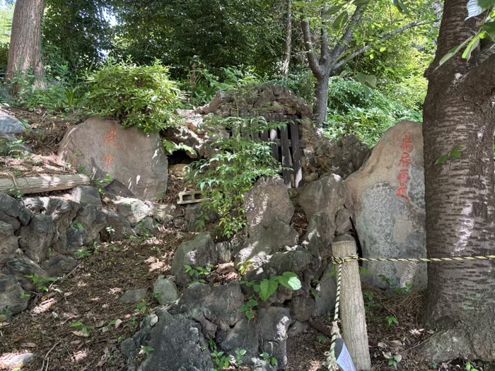 文京区　駒込富士神社　御胎内